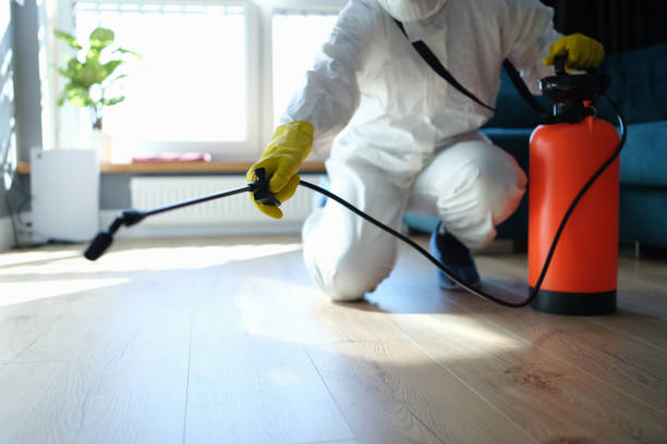 Reliable Drug Lab Cleanup contractor in Sunnyside, CA by Trauma Clean Pros